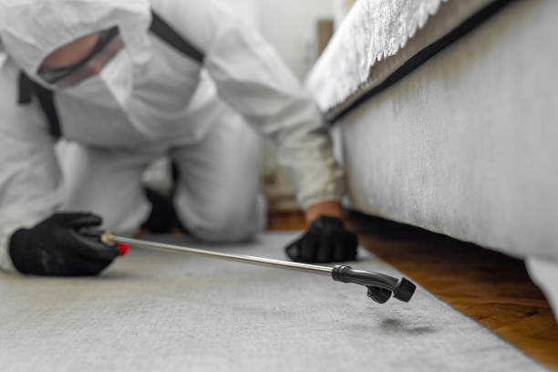 Professional Bed Bug Control technician working in Mount Sinai, NY